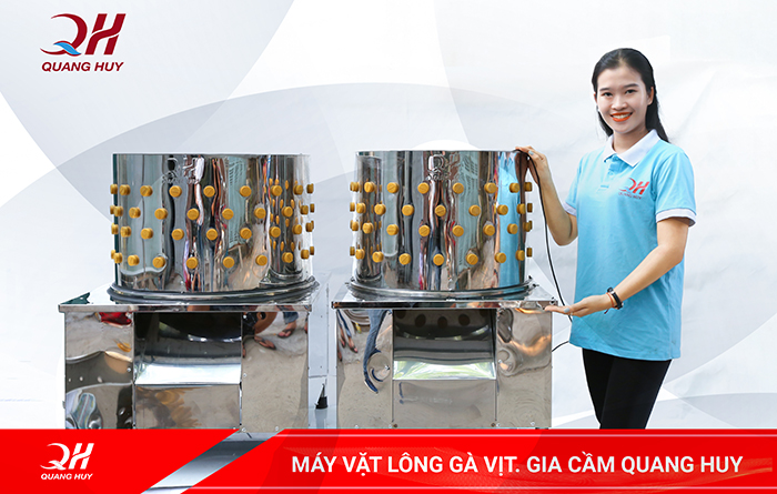 Máy vặt lông gà vịt chính hãng được cung cấp tại hệ thống Quang Huy trên thị trường hiện nay