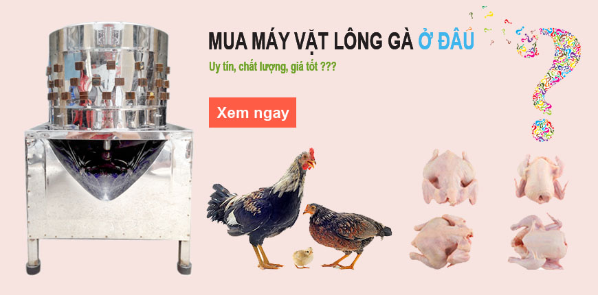 Máy vặt lông gà mini giá rẻ tại Quang Huy
